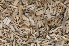 biomass boilers Humbleton